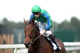 '16-1 chance should not be ruled out' – Jason Heavey's Saturday racing tips