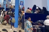 Holidaymakers throw fists in cruise ship carnage as dozens want a bit of the action