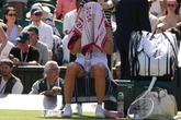 Wimbledon tennis stars 'steal' almost 500 iconic £40 tournament towels each day