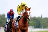 'He beat the Derby winner so this should be easy' – Jason Heavey's Friday tips