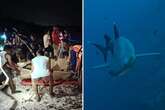 Tourist 'torn to pieces' in horrifying shark attack in holiday hotspot