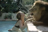 Five major stars who kept big cats as pets – only one of them was brutally savaged