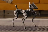 Robodogs set to replace man's best friend after Chinese company unleashes cyborg mutt