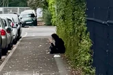 Radio legend chucked quid in 'homeless' woman's cup – but then he learned the truth