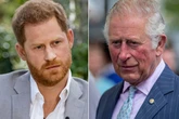 Prince Charles 'can't deal' with Harry's accusations as he's 'immensely sensitive'