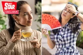 Tea expert reveals exactly why you should drink a cuppa during a heatwave as UK sizzles