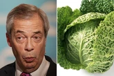 Pulp Fiction's Tim Roth shares nickname for Reform's Nigel Farage as he digs out Tories