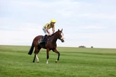 'He loves winning at Ayr' – Wednesday's racing tips from five UK meetings