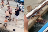 Ibiza boat party brawl as Brits throw punches before three people go overboard