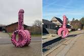 Woman wakes up on 30th birthday to find towering 13ft monster phallus on driveway