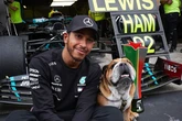 Lewis Hamilton's dog fighting serious illness as F1 star admits 'my heart stops'