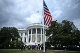 Inside UFC's White House fight plans as Dana White and Conor McGregor to wow Donald Trump