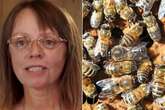 Woman with strange addiction to bee stings discovers they give her a bedroom buzz