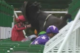 Horse racing jockeys banned after blindfolded mare smashed through barrier