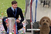 Steven Gerrard's 'proud' adorable dog next to Rangers trophy leaves fans howling