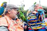 Couple live with 20 parrots – and even take them out to take photos and meet people