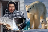 Horrifying last moments of man eaten alive by polar bear as pals refused to leave body