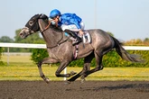 Filly on the up to star at Kempton Park - Jason Heavey's Tuesday tips