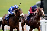 'He is one of the toughest horses in training ' – Bank Holiday Monday racing tips