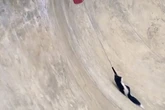 'Stinky Skater Boi' skunk takes off with skateboard after getting trapped