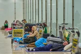 'Disaster zone' Spanish tourist hotspot airports swamped by bed bugs, prostitution and drugs