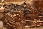 Mystery Egyptian tombs with 'false door' found as 24 mummies have 'solid gold tongues'