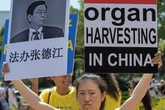China’s sinister organ harvesting industry as Xi promises Putin he can live forever