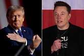 Elon Musk is ‘guest who wont leave’ Trump's home - and the 'narcissists' are bound to clash