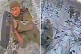 Scavenging battlefield dogs turn on North Korean corpses as Ukrainians make vile joke