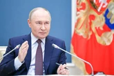 Ukraine 'catches soldiers like stray dogs' but Russians use 'free will', says Putin