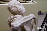 One of the 'alien' mummies from Peru was pregnant and 'scans can see the foetus'