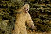 Bigfoot 'is real and has even been having little Bigfoot babies', boffins claim