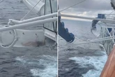 Horror as panicked cruise passenger gets trapped in waterslide dangling 100ft over the sea
