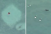 Jaw-dropping drone footage captures oblivious surfers swimming next to five sharks