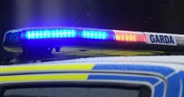 Woman walking with a baby pram hit by car that mounted curb in horror Ireland crash
