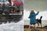 Met Office issues dog owners strict Storm Eowyn warning with barrage of 90mph winds