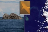 'Sharkcano' launches hammerheads across the ocean after giant underwater eruption