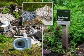Fly-tippers turn beautiful nature reserve into one of Britain's largest 'waste crime dumps'