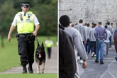 Prison has team of 'hooch hounds' trained to sniff out illegal booze made by lags