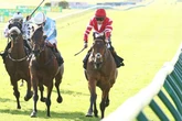 Racing tips from all seven Saturday meetings