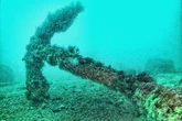 Huge clue in mystery of shipwreck packed with 'exquisite treasures and rare art'
