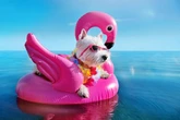Dogs 'should wear sunglasses and use sun cream' as UK faces further heatwaves