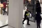 Hooded gang storm past security to raid Apple Store at major London shopping centre