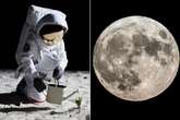 Mission launched to make clean water on the Moon – and it involves a Tesco microwave