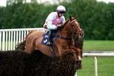 Veteran chaser can roll back the years at Carlsile according to Daily Star's tipping expert