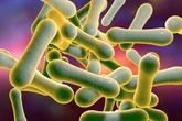 Unvaccinated Brits issued urgent warning over 'worst outbreak in decades' strikes