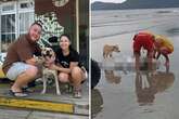 Loyal dog Scooby's heartbreaking final act after owner drowned on beach