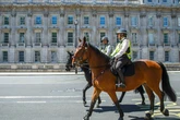 Short cops struggle on horses due to 'restrictive' PPE as officer slams 'cost saving' efforts