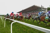Roger Teal's colt can be a roaring success at Sandown - Jason Heavey's horse racing tips for Wednesday