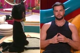 CBB's Chris Hughes wees in litter tray wearing cat costume while fans 'disgusted'